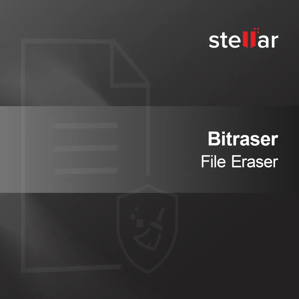 Bitraser Filvisker