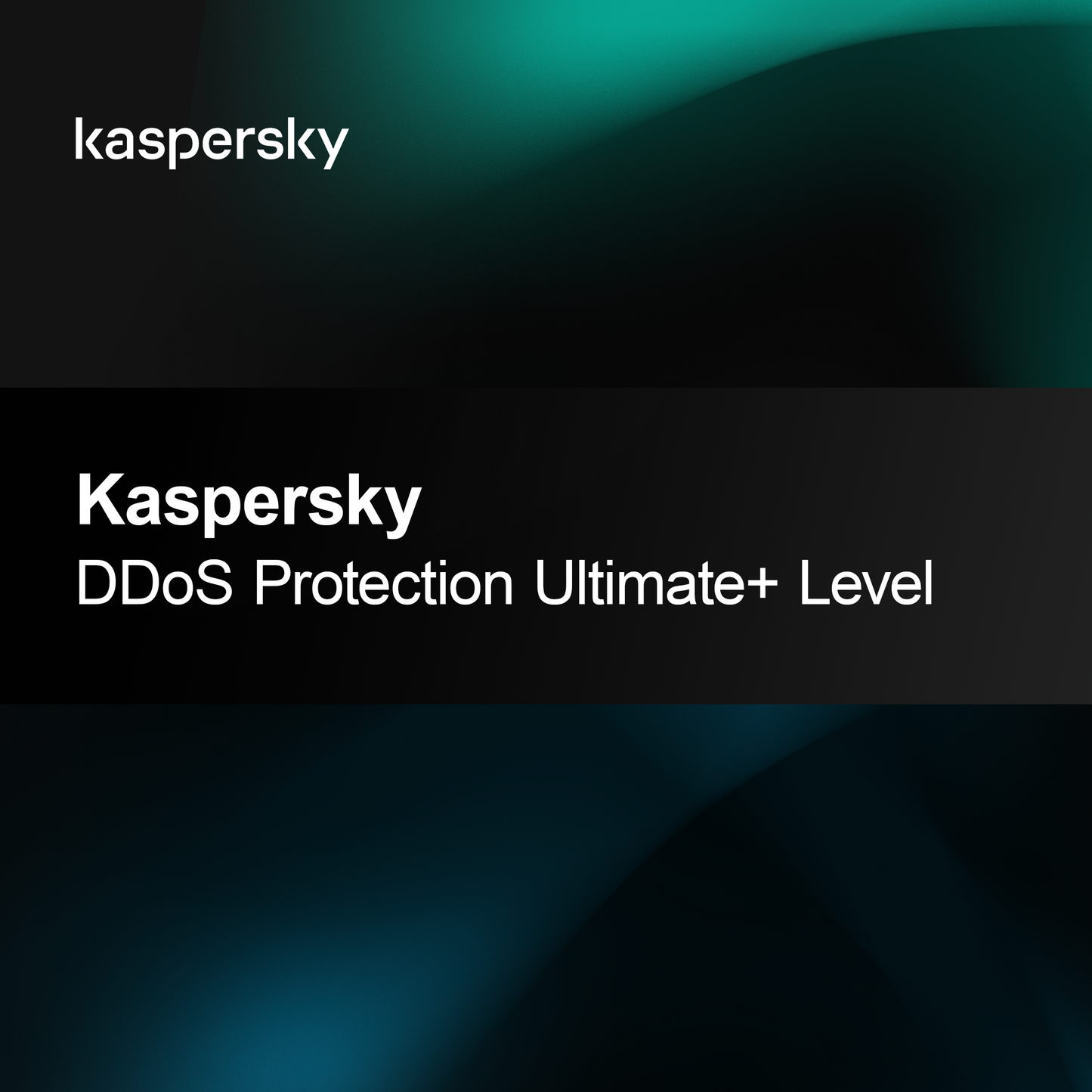 Kaspersky DDoS-beskyttelse, Ultimate+ niveau