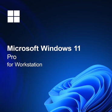 Microsoft Windows 11 Pro til arbejdsstation