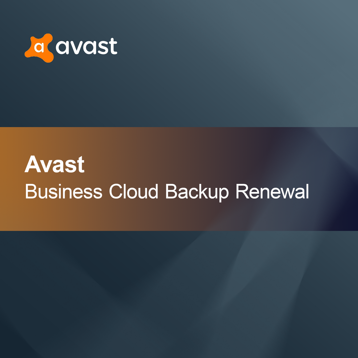 Renouvellement de la gestion des correctifs Avast Business