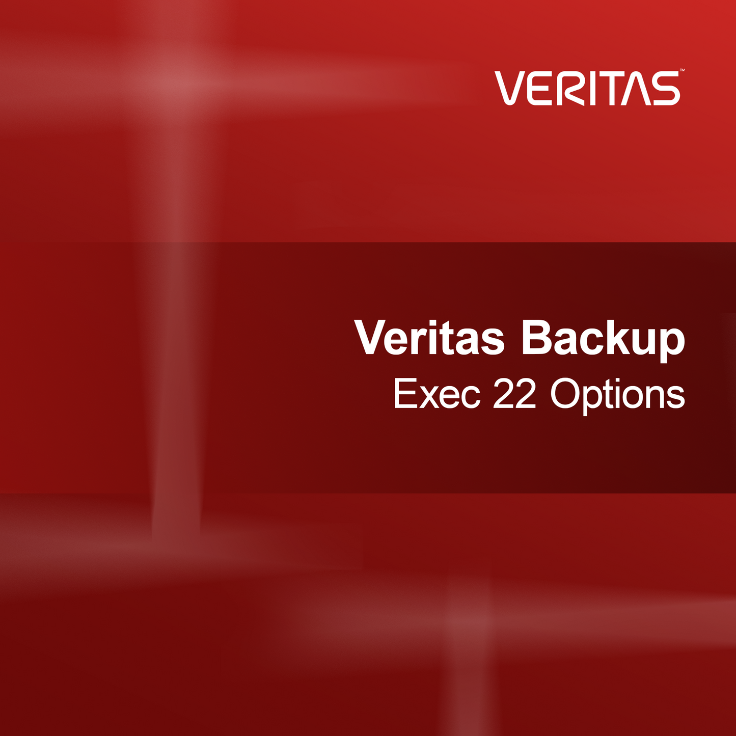 Veritas Backup Exec 22 muligheder